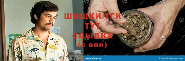 стаф Заводоуковск