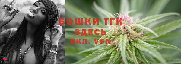 стаф Заводоуковск