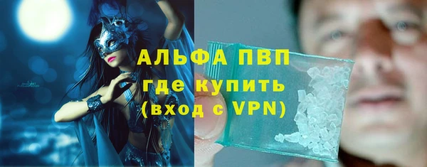 стаф Заводоуковск