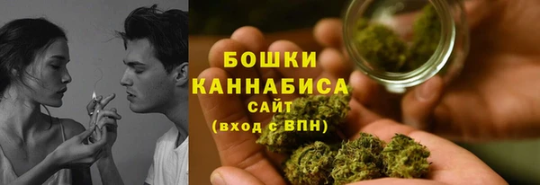 стаф Заводоуковск