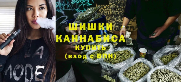 стаф Заводоуковск