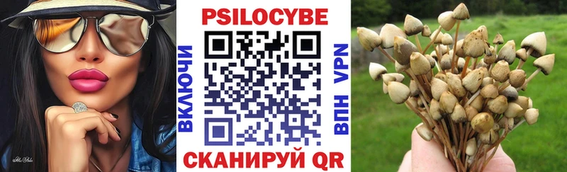Галлюциногенные грибы прущие грибы  Купить  Перевоз 
